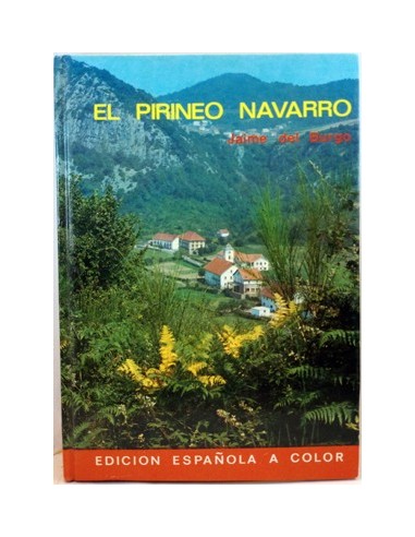 Pirineo Navarro, El