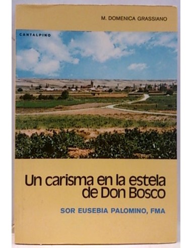 Carisma En La Estela De Don Bosco, Un