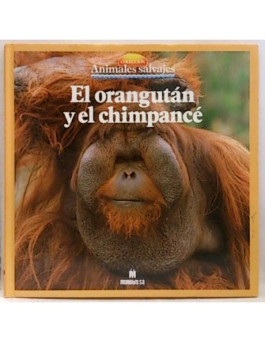 Animales Salvajes: El Chimpancé Y El Orangután