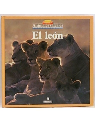 Animales Salvajes: El León