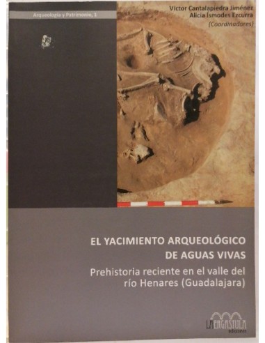 El yacimiento arqueológico de Aguas Vivas : Prehistoria reciente en el valle del río Henares (Guadal